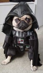 darth-vader-dog-costume